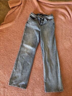 Judy Blue Light Blue Skinny Jeans